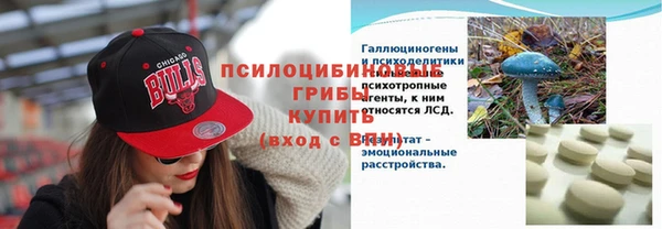прущий лед Богородицк