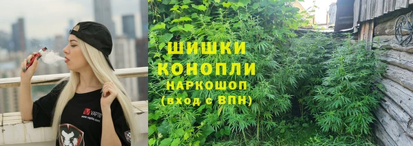 прущий лед Богородицк