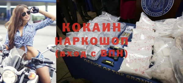 сатива Белокуриха
