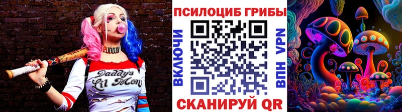 Псилоцибиновые грибы MAGIC MUSHROOMS где купить наркоту маркетплейс наркотические препараты Каменск-Уральский